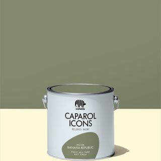 Farben CAPEROL ICONS matt finish